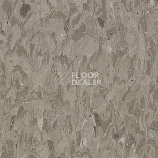 Линолеум Tarkett Iq Granit Safe T GREY BROWN 0704 фото 1 | FLOORDEALER